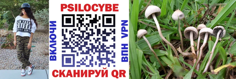 блэк спрут ONION  Магадан  Галлюциногенные грибы Cubensis 