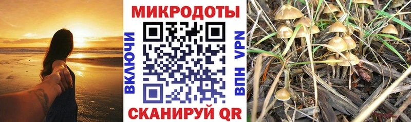 Галлюциногенные грибы ЛСД Магадан